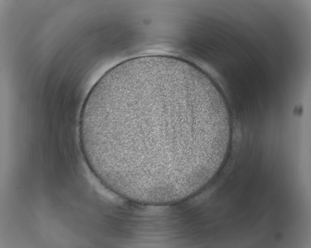 X0000112391423200909241227