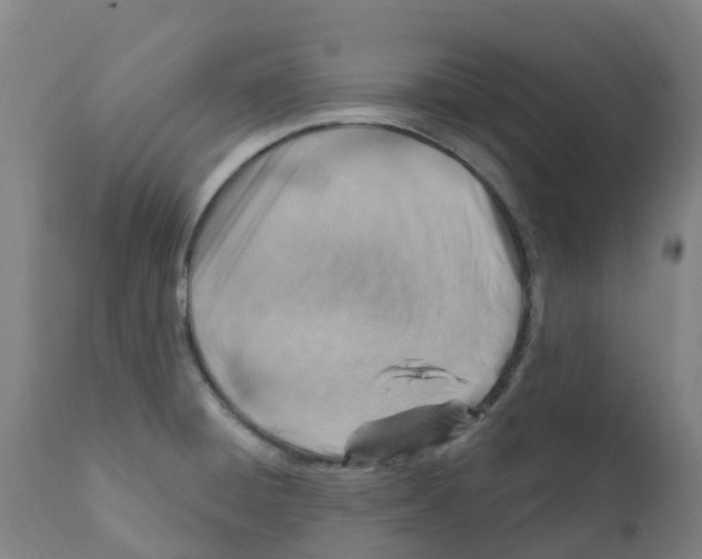 X0000112391428200909241227