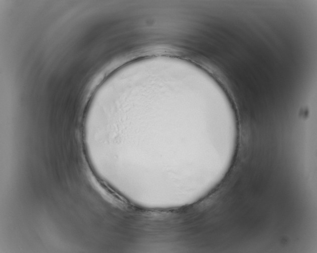 X0000112391429200909241227