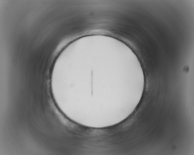 X0000112391430200909241228