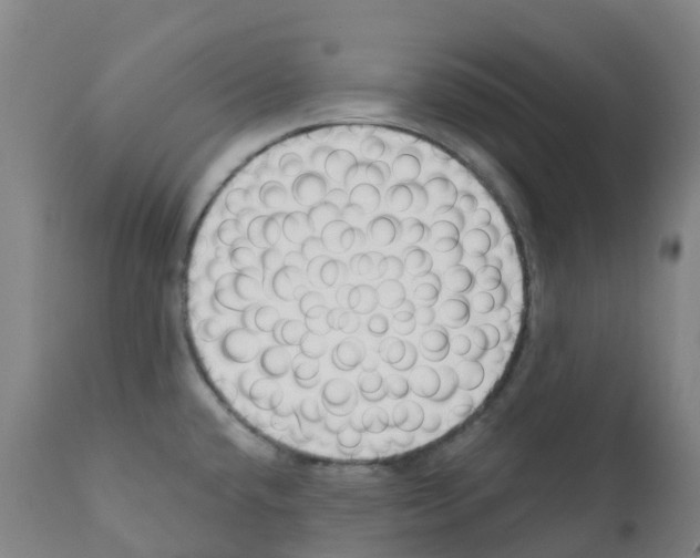 X0000112391432200909241228