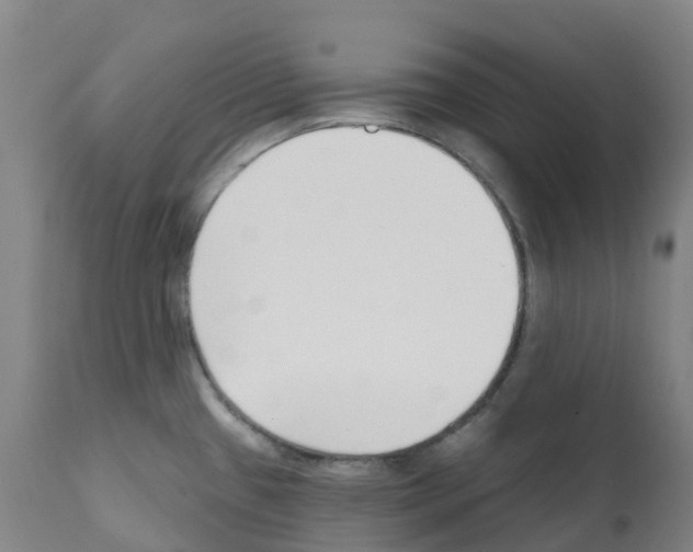 X0000112391433200909241228