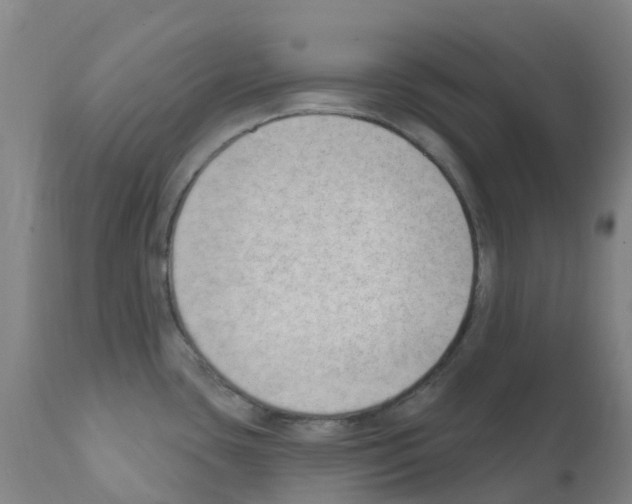 X0000112391435200909241228