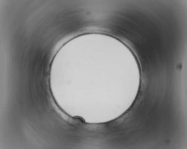 X0000112391437200909241228