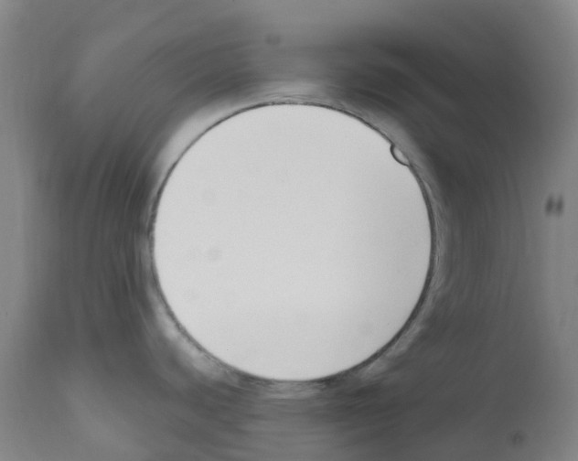 X0000112391440200909241228