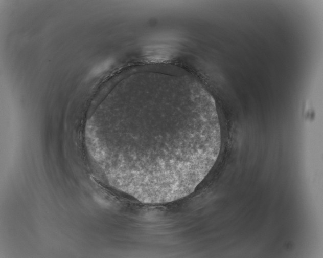 X0000112391441200909241227