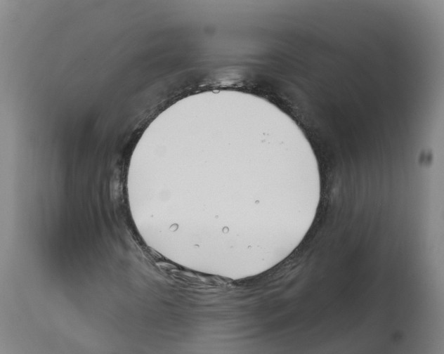 X0000112391442200909241227