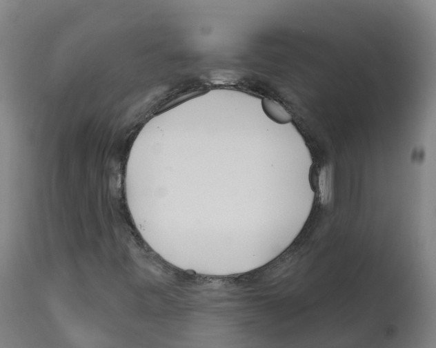 X0000112391443200909241227