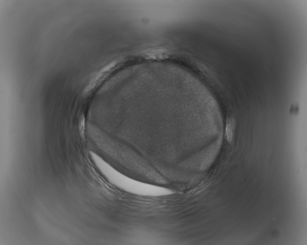X0000112391444200909241227
