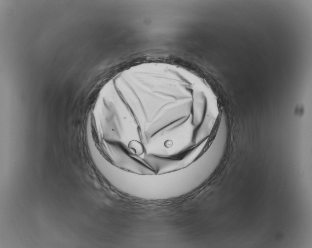 X0000112391445200909241227