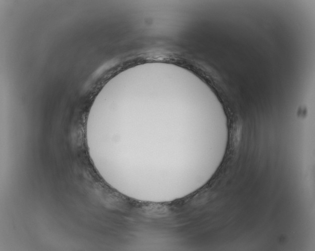 X0000112391446200909241227