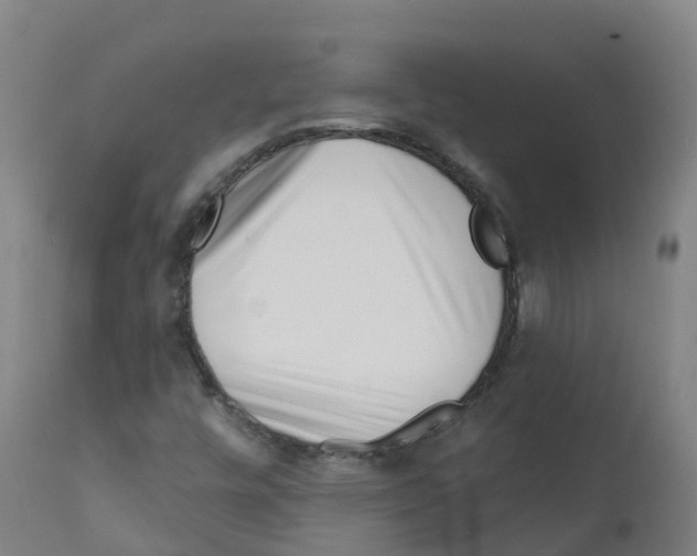 X0000112391448200909241227
