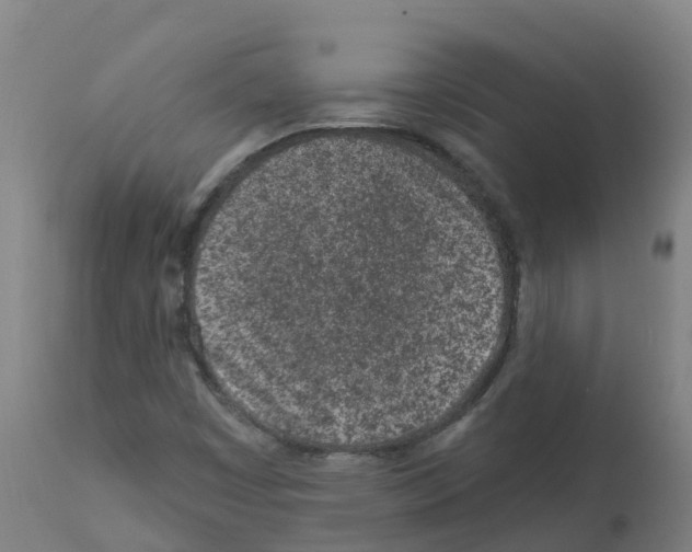X0000112391449200909241227