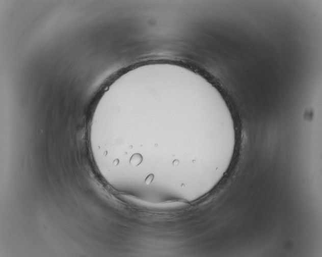 X0000112391450200909241227
