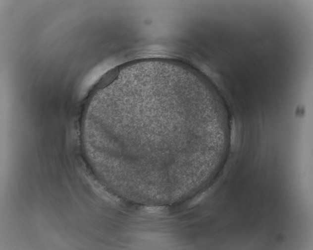 X0000112391453200909241227