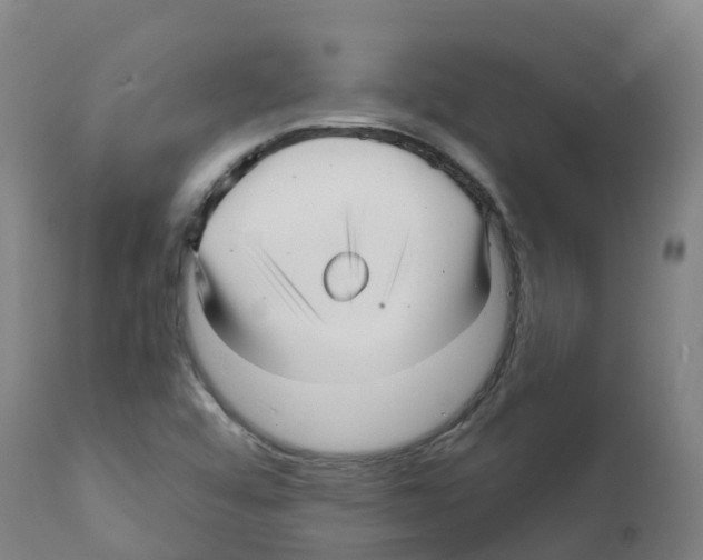 X0000112391456200909241227