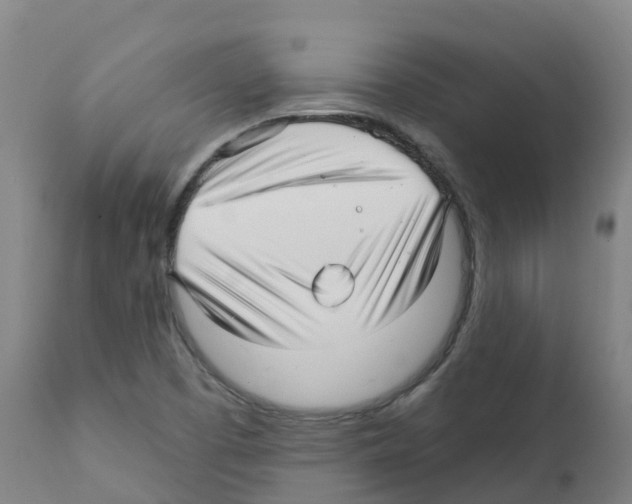 X0000112391457200909241227
