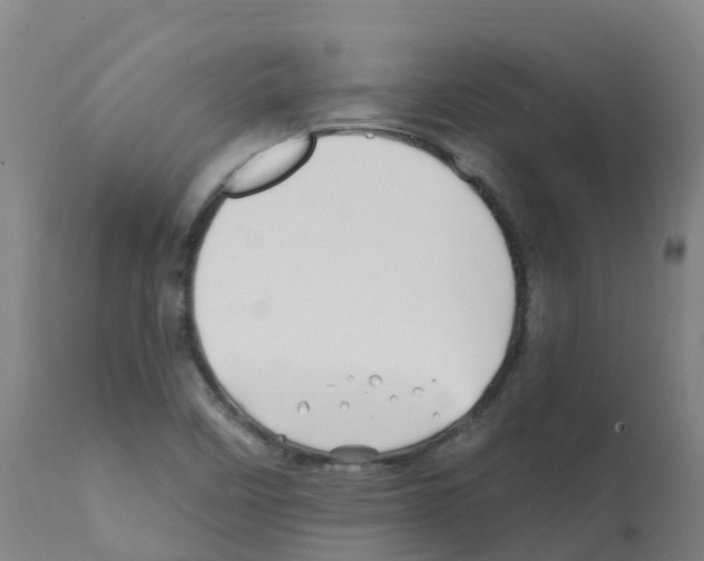 X0000112391458200909241227