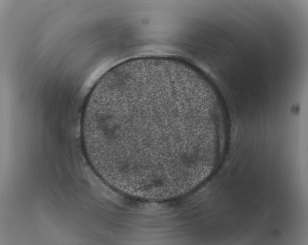 X0000112391459200909241227