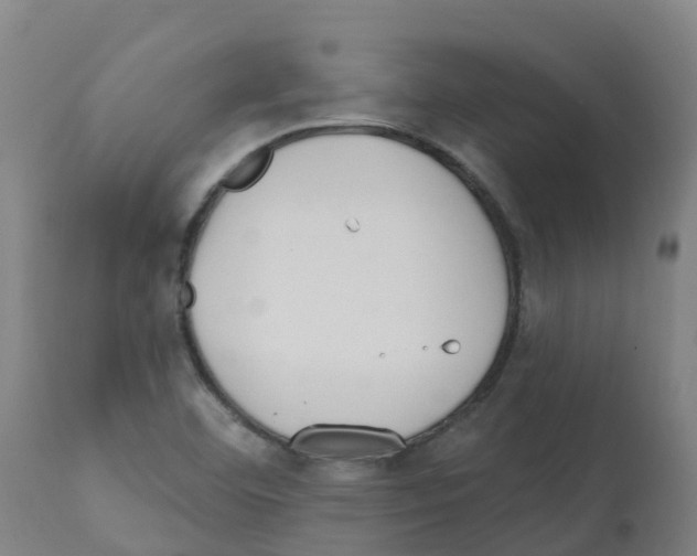X0000112391460200909241227
