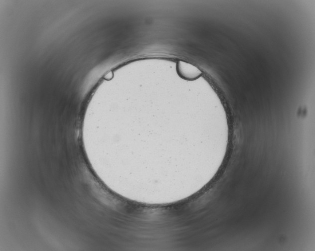 X0000112391461200909241227