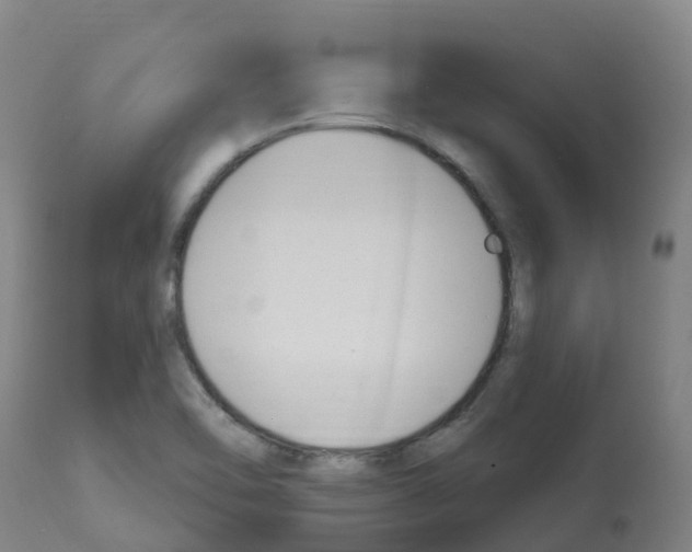 X0000112391462200909241227