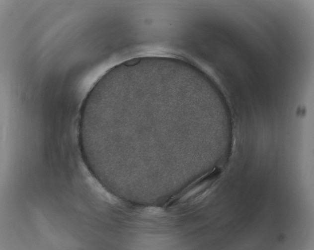 X0000112391463200909241227