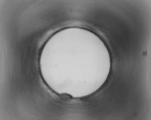 X0000112391464200909241227
