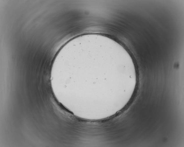 X0000112391465200909241227