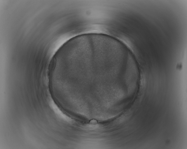 X0000112391468200909241227