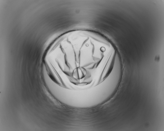 X0000112391469200909241227