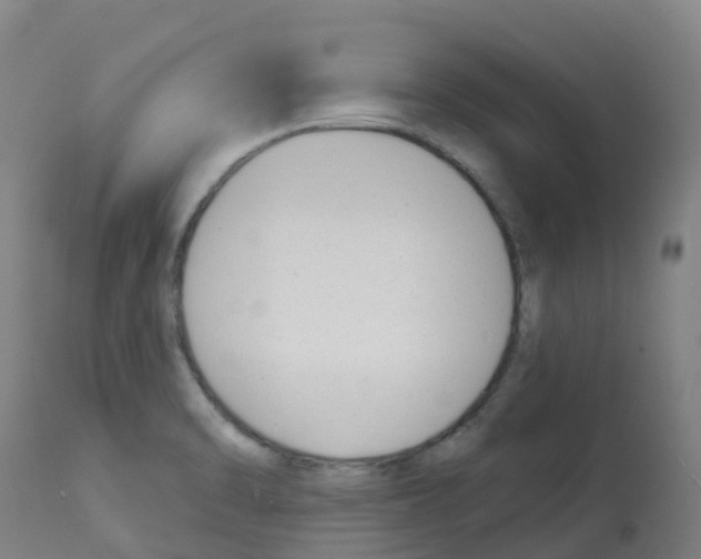 X0000112391470200909241227