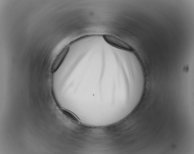 X0000112391472200909241227