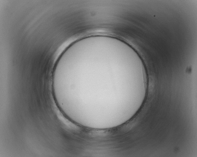 X0000112391474200909241227