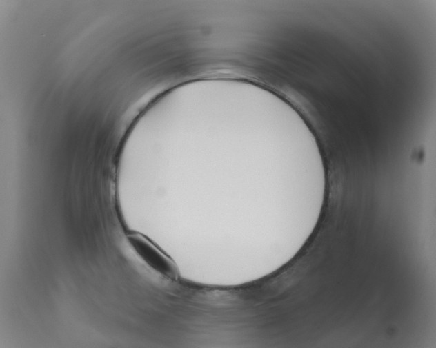 X0000112391476200909241226