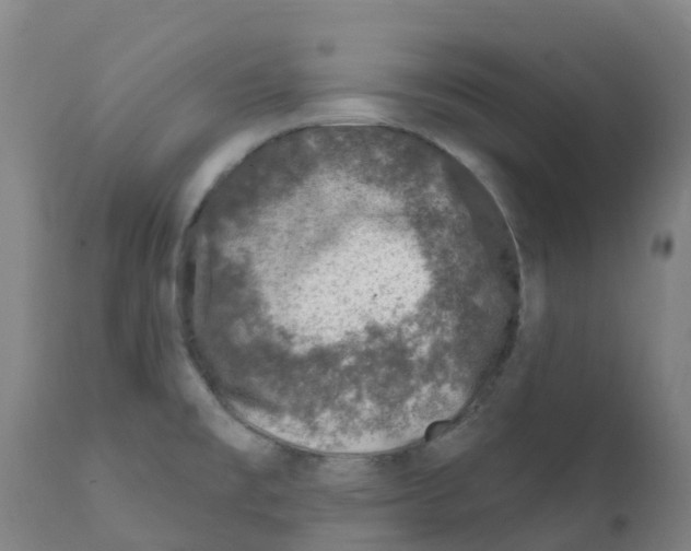 X0000112391477200909241226