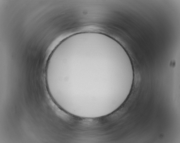 X0000112391478200909241226