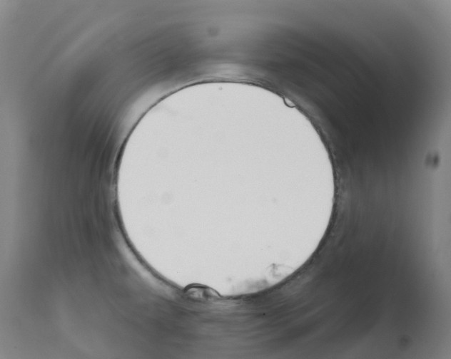 X0000112391479200909241226
