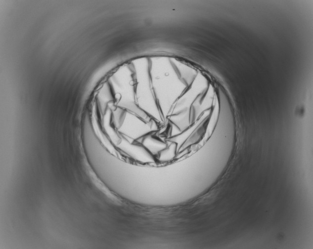 X0000112391480200909241226