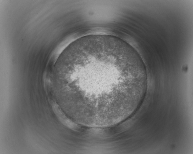 X0000112391481200909241226