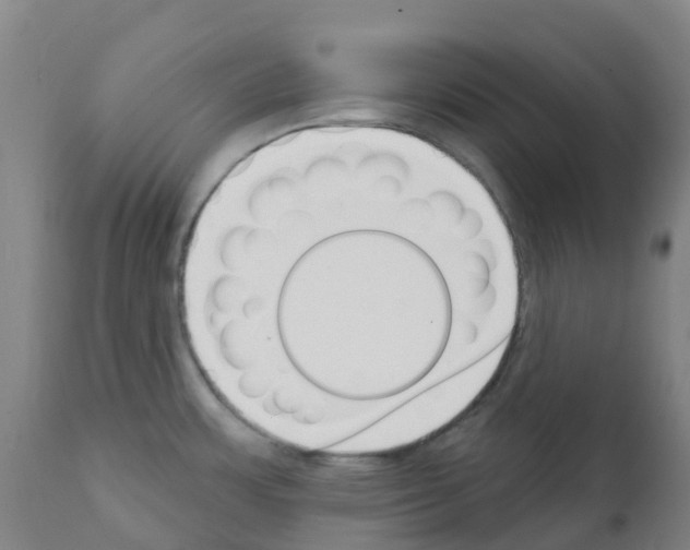 X0000112391483200909241226