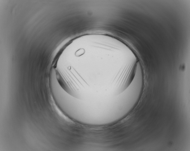 X0000112391484200909241226