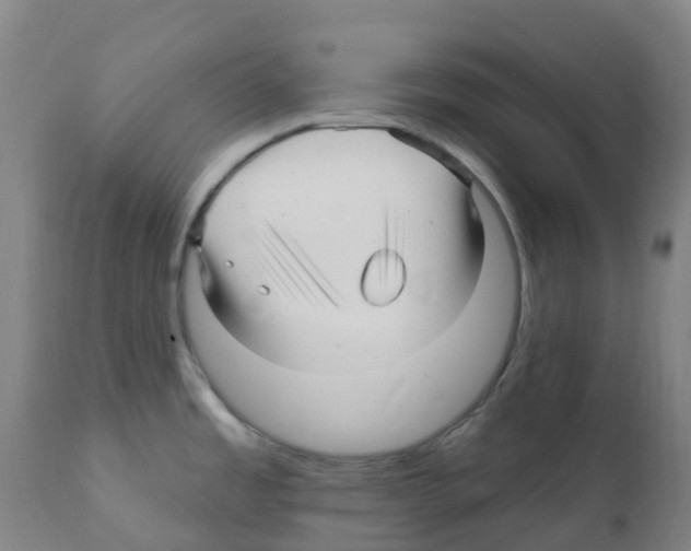X0000112391485200909241226