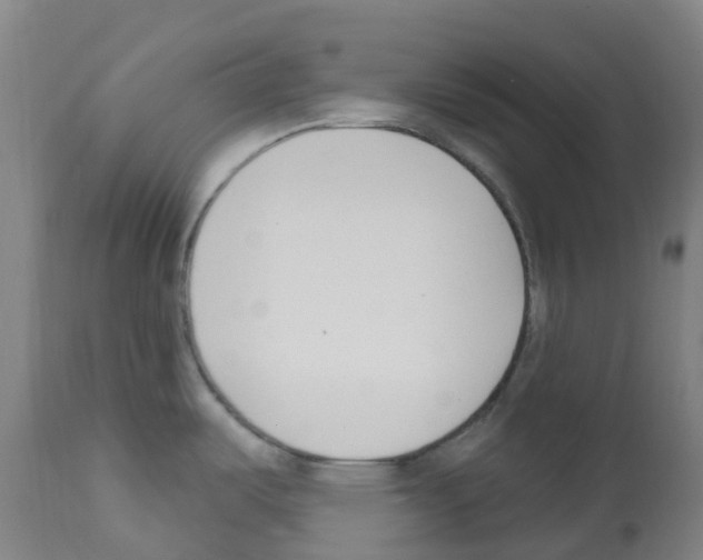 X0000112391487200909241226