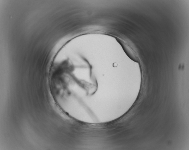 X0000112391488200909241226