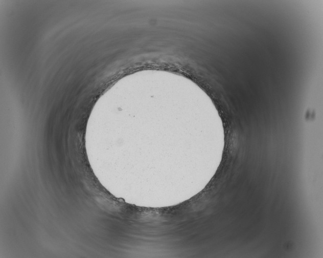 X0000112391489200909241226