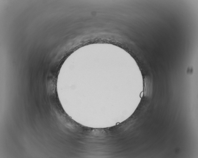 X0000112391491200909241226