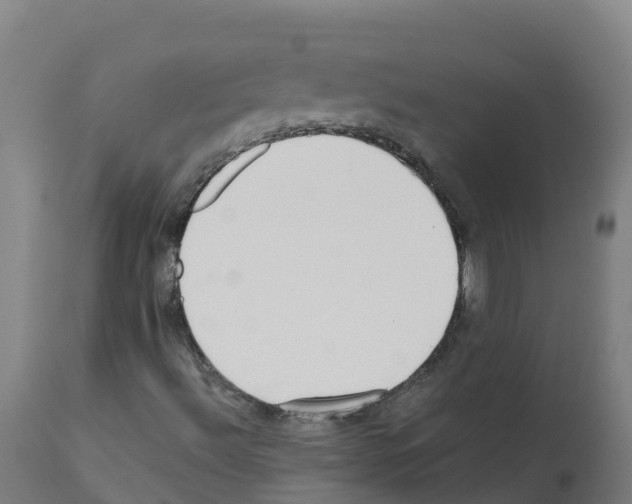 X0000112391492200909241226