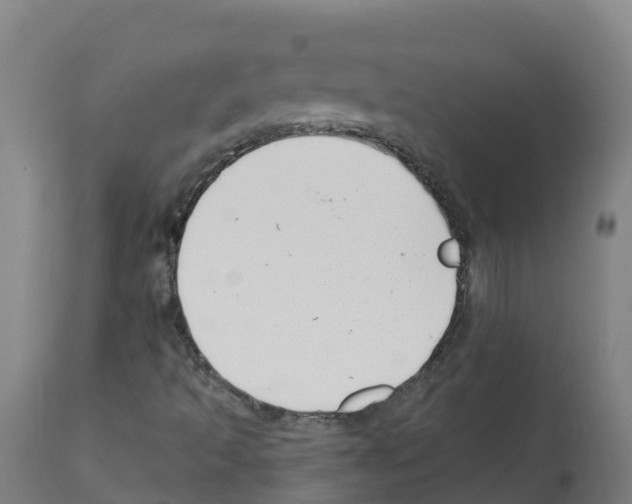 X0000112391493200909241226