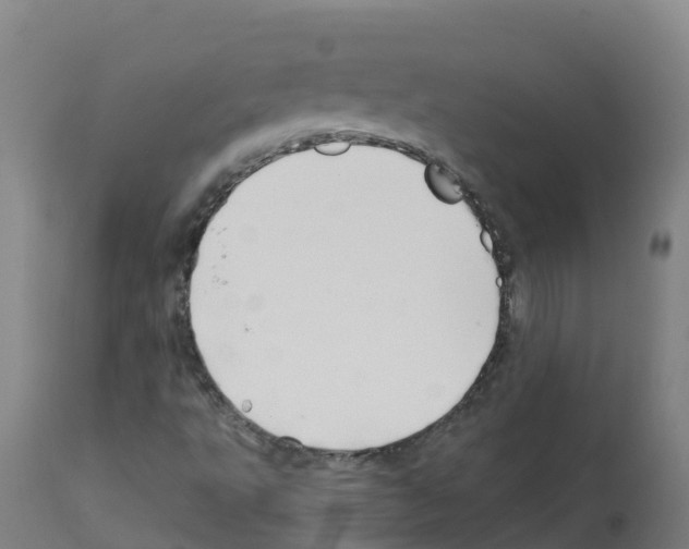 X0000112391495200909241226